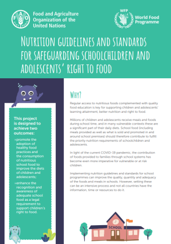 Library | UN‑Nutrition: The United Nations Inter‑agency Coordination ...